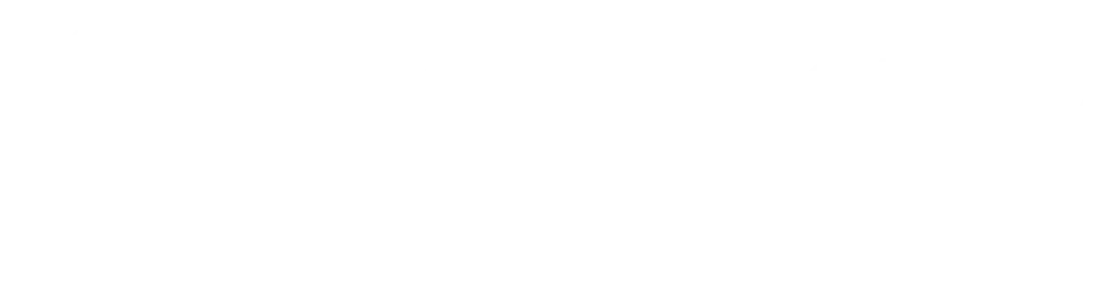 Castlegar Wellness & Aesthetics logo with stylized leaf and scissors design.